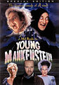 Young Frankenstein by sheb
