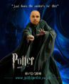 Potter About by Dam Helder